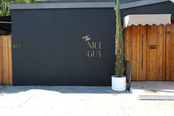 The Nice Guy by null