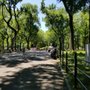 Photo of Central Park