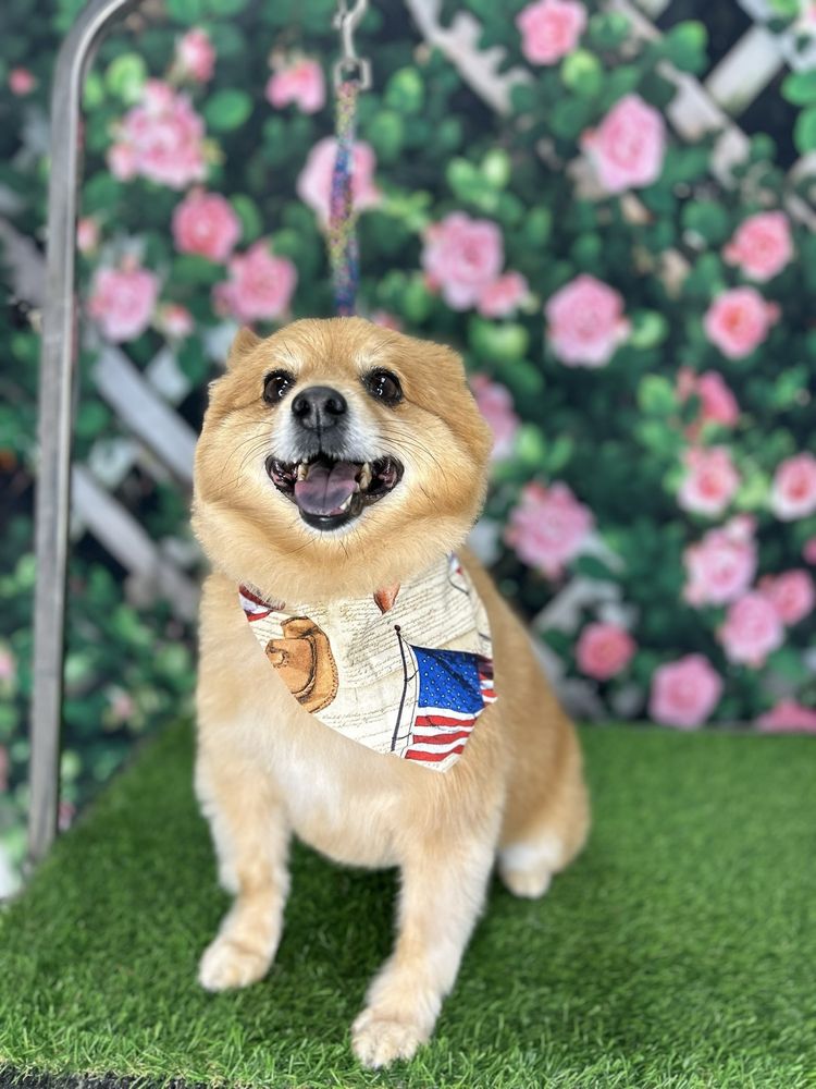 GROOMOLOGY Updated September 2024 38 Photos & 17 Reviews 2106B N