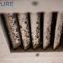 Photo of BioPure Restoration