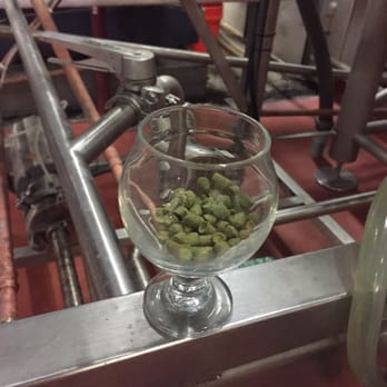 Kane Brewing - Hops - Breweries Near Me - Ocean, New Jersey