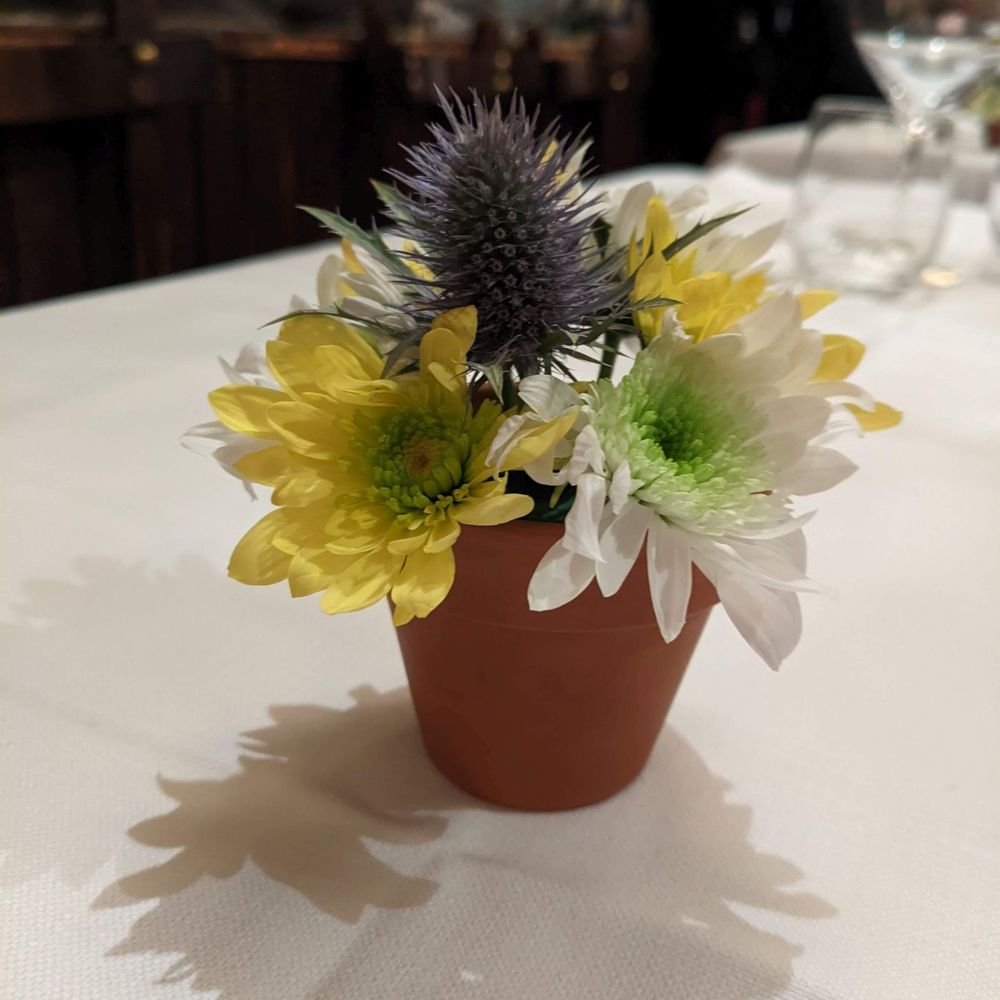 Buca Lapi - @endoedibles on Instagram 03/07/24 - Tuscan Near Me - Florence, FI Buca Lapi - @endoedibles on Instagram 03/07/24 - Tuscan Near Me - Florence, FI