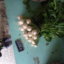 Local Roots Farm
