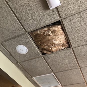 Panera Bread - apparent ceiling leak - Soup Near Me - Metairie, Louisiana Panera Bread - apparent ceiling leak - Soup Near Me - Metairie, Louisiana