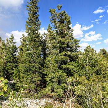 Great Basin National Park - Parks Near Me - Baker, Nevada