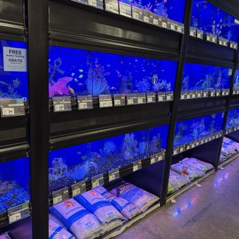 PetSmart - Freshwater fish - Pet Groomers Near Me - Northridge, California PetSmart - Freshwater fish - Pet Groomers Near Me - Northridge, California