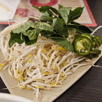 Pho Que Huong - Sprouts and basil for pho - Vietnamese Near Me - Winnipeg, Manitoba Pho Que Huong - Sprouts and basil for pho - Vietnamese Near Me - Winnipeg, Manitoba