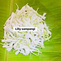 Sai Flowers - Lily Sampangi
