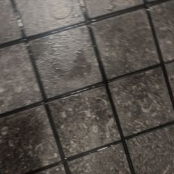 Flying J Travel Center - Body hair DNA in pooled up shower flooring