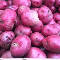 Kingsbridge-Riverdale Farmers' Market - Red Potatoes