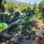 Photo of Northcali Landscaping & Tree Services