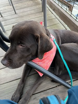 The Tasting Room of Travelers Rest by null