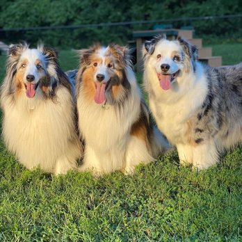 Santa Fe Park - Dog park - Dog Parks Near Me - Independence, Missouri