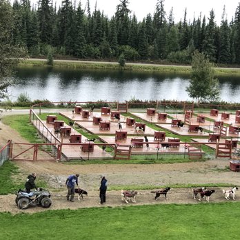 Riverboat Discovery - Sled dogs - Boat Tours Near Me - Fairbanks, Alaska