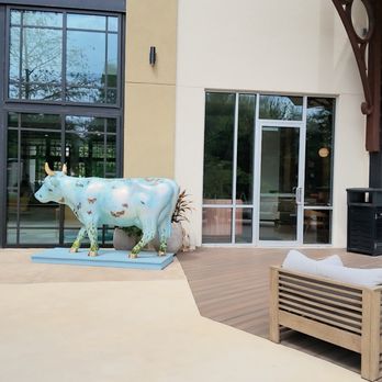 Sol Cypress - Outdoor area - Hotels Near Me - San Antonio, Texas
