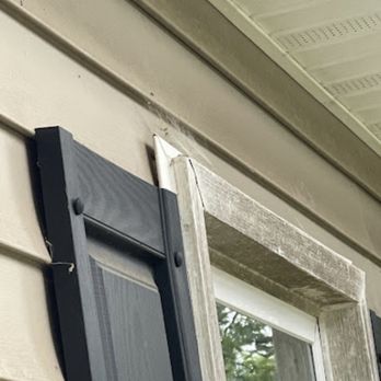 Evergreen Pest Solutions - Again, how well they "de web the exterior" - Pest Control Near Me - Richmond, Virginia
