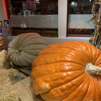 Boston Public Market - Pumpkin display - Public Markets Near Me - Boston, Massachusetts Boston Public Market - Pumpkin display - Public Markets Near Me - Boston, Massachusetts