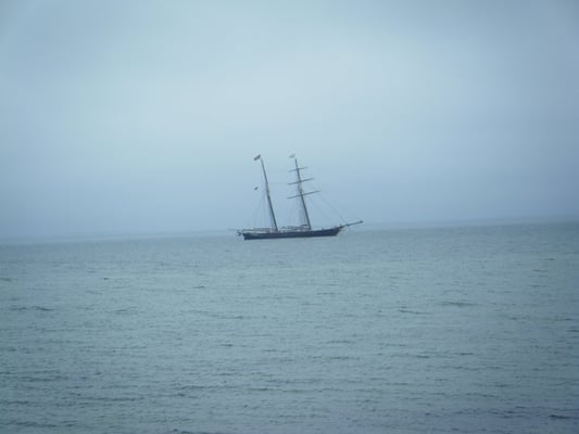 Joseph Sylvia State Beach by null