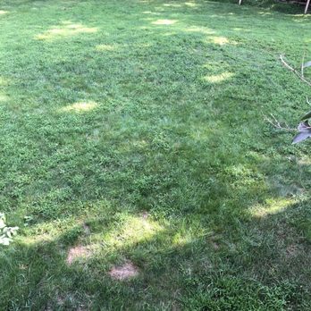 TruGreen Lawn Care - A tru green lawn! - Tree Services Near Me - Danbury, Connecticut TruGreen Lawn Care - A tru green lawn! - Tree Services Near Me - Danbury, Connecticut