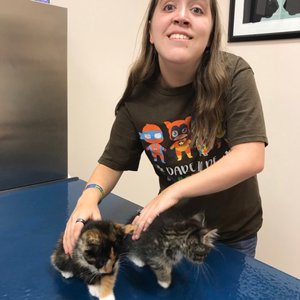 HELPING HANDS HUMANE SOCIETY - Updated October 2025 - 24 Photos & 29