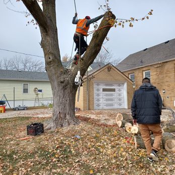Mateo Landscaping - For service call us at 531-389_0581 thank - Landscaping Near Me - Omaha, Nebraska Mateo Landscaping - For service call us at 531-389_0581 thank - Landscaping Near Me - Omaha, Nebraska