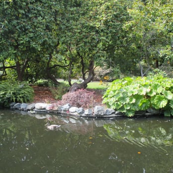 Beacon Hill Park - Parks Near Me - Victoria, British Columbia