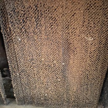 Sam's Cleaning and Hauling - Dusty fireplace grill - Home Cleaning Near Me - Houston, Texas Sam's Cleaning and Hauling - Dusty fireplace grill - Home Cleaning Near Me - Houston, Texas