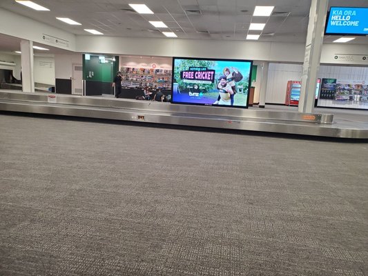 Queenstown Airport by null