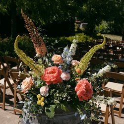 Bloomsbury of Kanaka Creek Farm