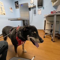 Bergen Veterinary Hospital - Waiting room