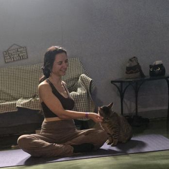 The Kitty Beautiful - Cafes Near Me - Orlando, Florida The Kitty Beautiful - Cafes Near Me - Orlando, Florida