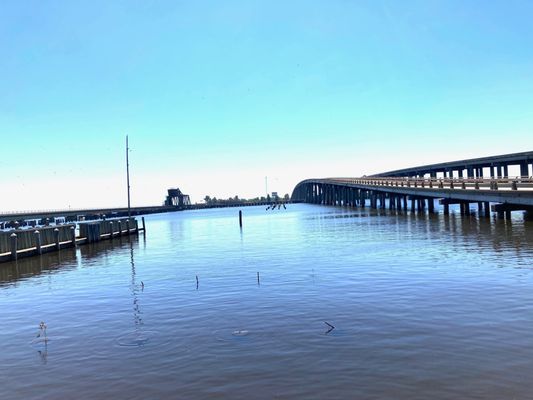 Middendorf's Manchac by null