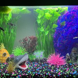 Aquatek Tropical Fish - Happy fish