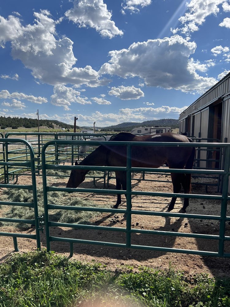 Greenhorn Horse Hotel - equestrian in Pueblo, CO