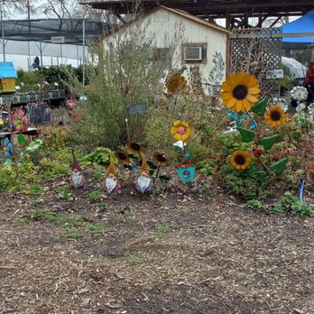 Morningsun Herb Farm - Nurseries & Gardening Near Me - Vacaville, California Morningsun Herb Farm - Nurseries & Gardening Near Me - Vacaville, California
