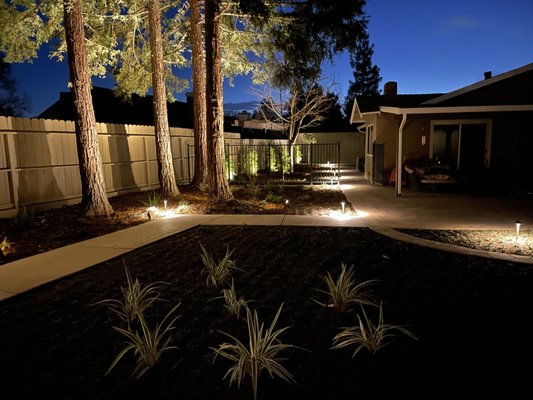 Landscaping - This was a landscaping project we did with Outdoor Lighting, Plants, Rock installation, Trellis, Concrete and Irrigation.