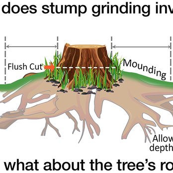RJ Outdoor Services - Stump diagram - Tree Services Near Me - Alexander, Arkansas RJ Outdoor Services - Stump diagram - Tree Services Near Me - Alexander, Arkansas