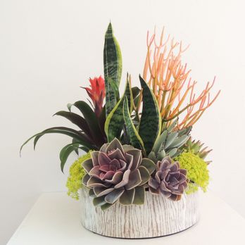 Succulently Urban - Florists Near Me Succulently Urban - Florists Near Me