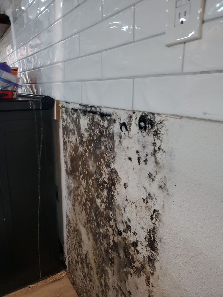 Clean Air Detective - mold inspector in Norman, OK