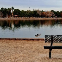 Wild birds everywhere!  They enjoy the manmade pond.