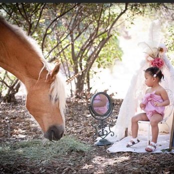 XO Photography by Kim - Aloha age 2 - Session Photography Near Me XO Photography by Kim - Aloha age 2 - Session Photography Near Me