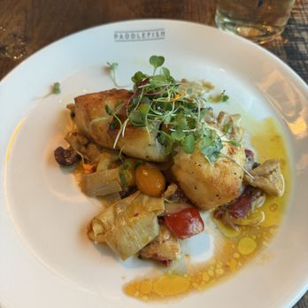 Paddlefish - Florida Grouper - Seafood Near Me - Orlando, Florida Paddlefish - Florida Grouper - Seafood Near Me - Orlando, Florida