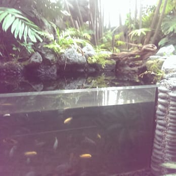 Heron House - Aquarium near breakfast area - Guest Houses Near Me - Key West, Florida Heron House - Aquarium near breakfast area - Guest Houses Near Me - Key West, Florida
