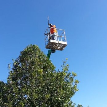 Best's Lawn & Landscape - a man on a cherry picker - Lawn Services Near Me - Ocala, Florida Best's Lawn & Landscape - a man on a cherry picker - Lawn Services Near Me - Ocala, Florida