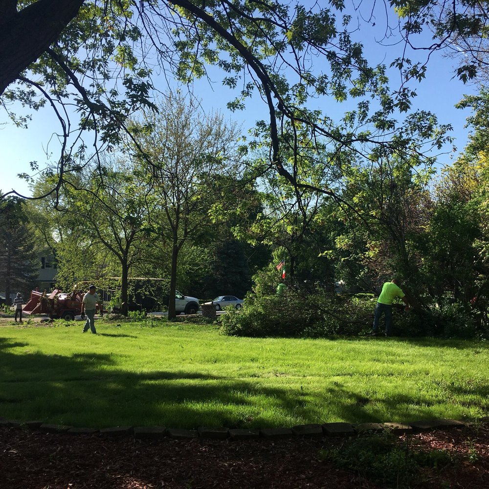 U S Tree Service - Tree Services Near Me - Addison, Illinois