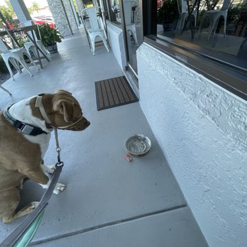 Winfield Street Coffee - Naples North - Cafes Near Me - Naples, Florida