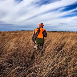 Black Kettle National Grassland Wma - Black Kettle National Grassland WMA (always wear hunter orange when you're hunting! Safety first).