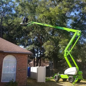 Warming Tree Services, Inc - Highlift - Tree Services Near Me - Jacksonville, Florida