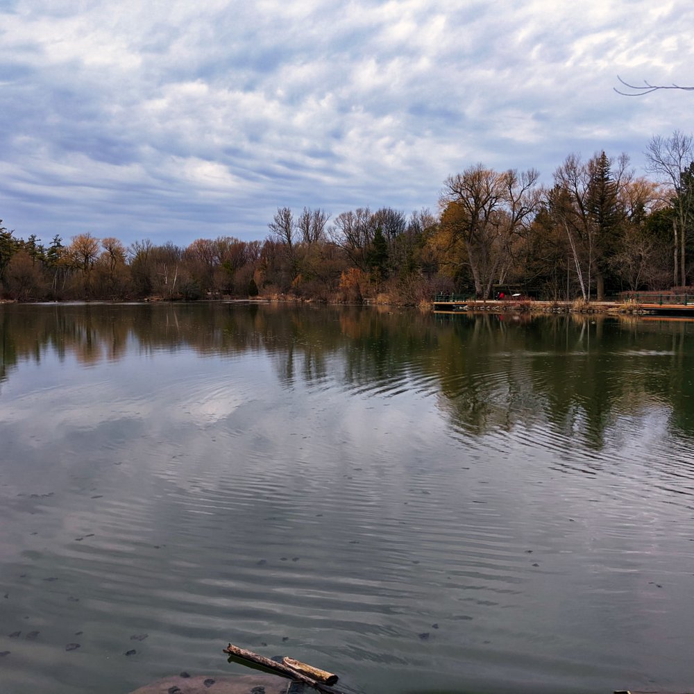 Mill Pond Park - Parks Near Me - Richmond Hill, Ontario Mill Pond Park - Parks Near Me - Richmond Hill, Ontario