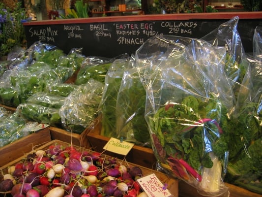 Oak Hill Farm by null